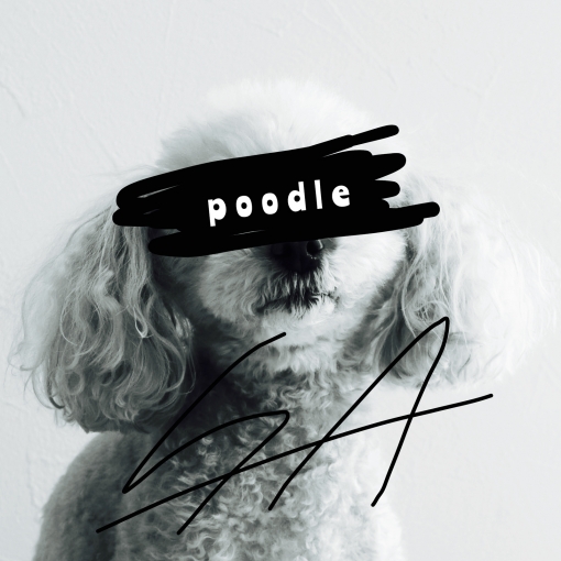 poodle(Sped Up)