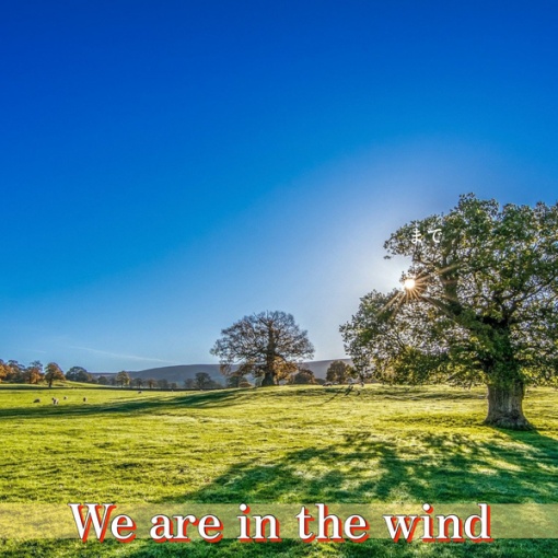 We are in the wind