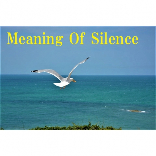Meaning Of Silence