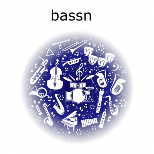 bassn