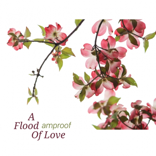 A Flood Of Love