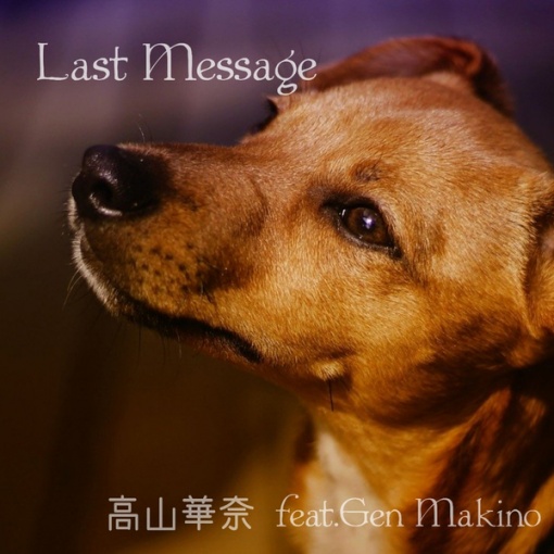 Last Message