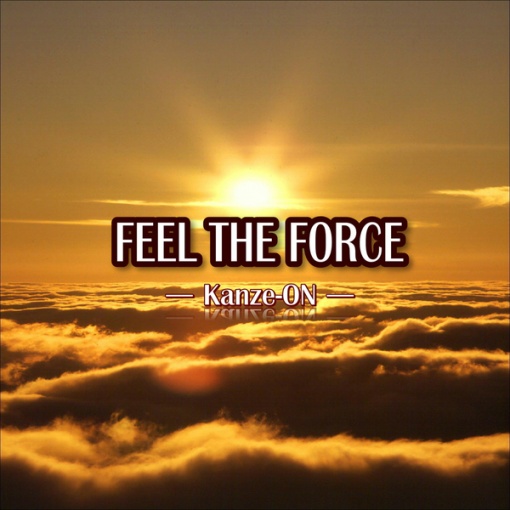 FEEL THE FORCE