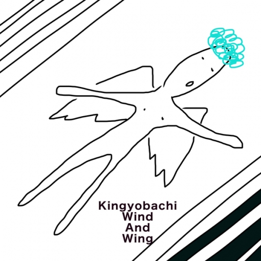 wind and wing
