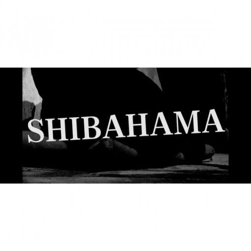 Dreaming of SHIBAHAMA