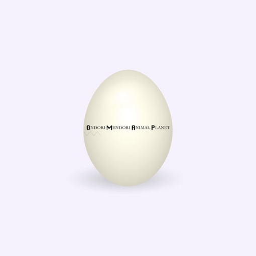 Golden Egg(Album ver.)