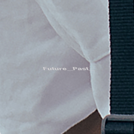 Future_______Past________