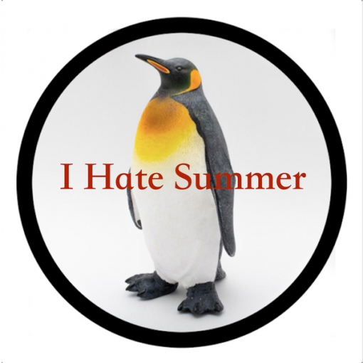 i hate summer