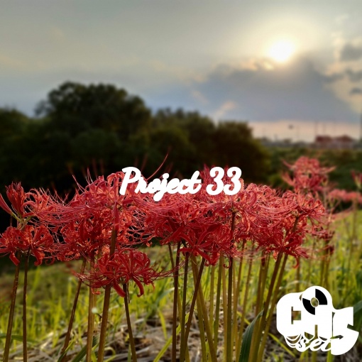 Project 33