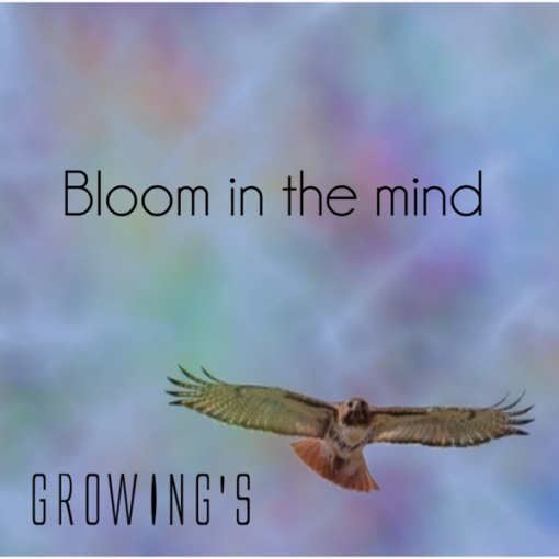 Bloom in the mind