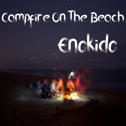 Campfire On The Beach