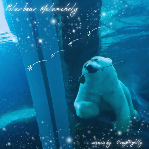 Polar bear melancholy