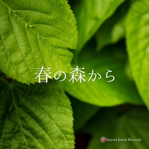 春の森から(カラオケ・メロディーあり・Key：-2)