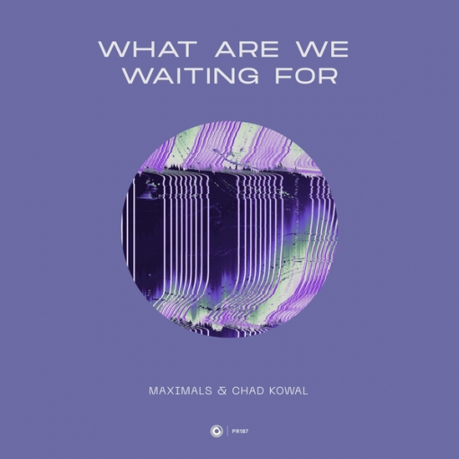 What Are We Waiting For (Extended Mix)