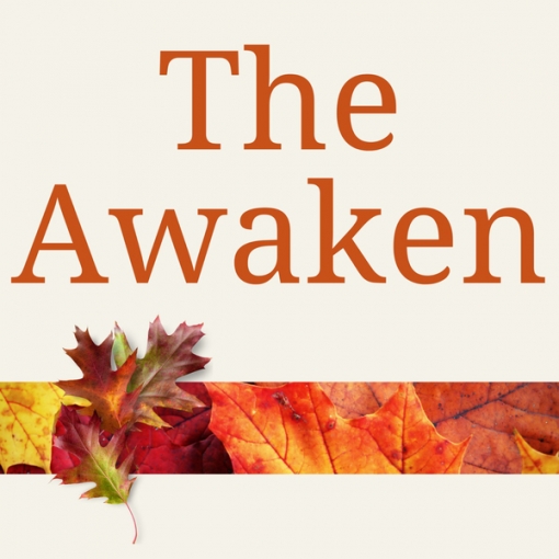 The Awaken