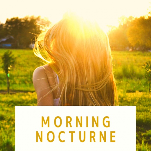 Morning Nocturne