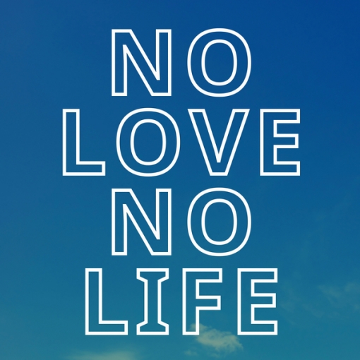 No Love No Life