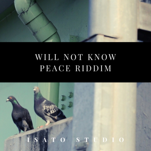 Will Not Know Peace Riddim
