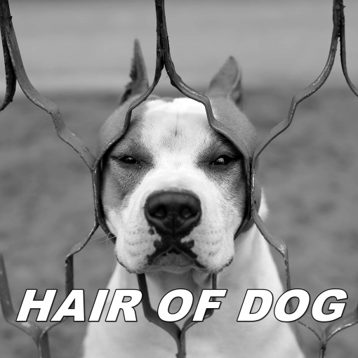 HAIR OF DOG