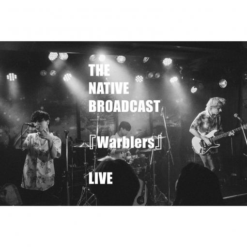 Warblers(LIVE)