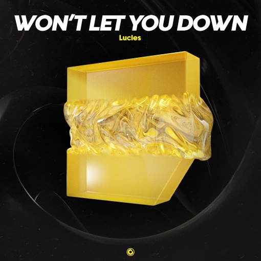 Won’t Let You Down (Extended Mix)