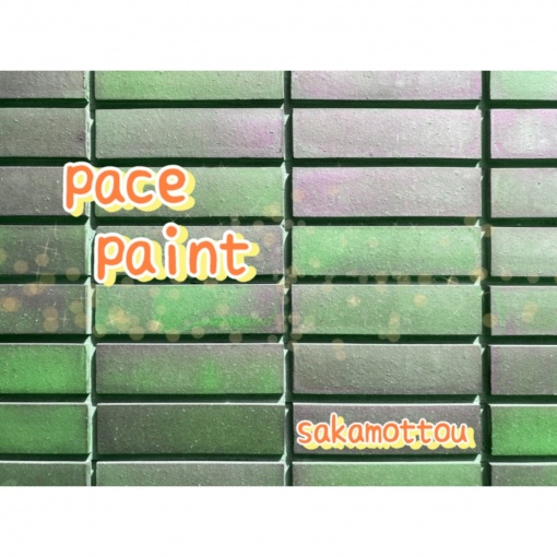 pace paint