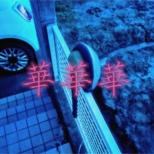 雍雍雍(Chinese Version)