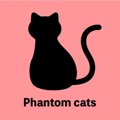 Phantom cats