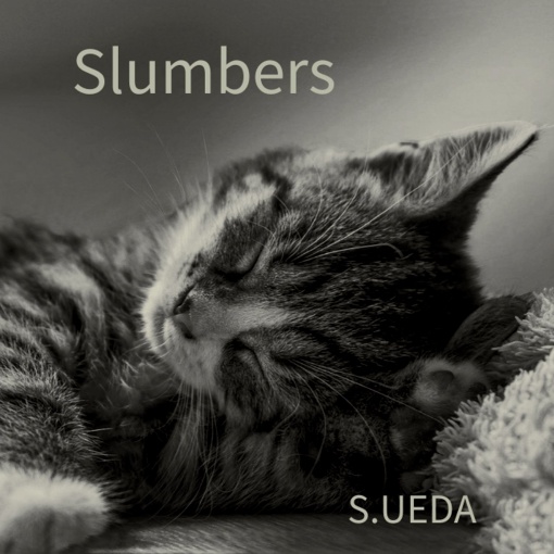 Slumbers