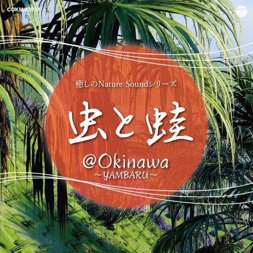 癒しのNature Soundシリーズ 虫とカエル＠OKINAWA～Yambaru～：沖縄 ヤンバルにて＜虫と蛙のコーラス＞