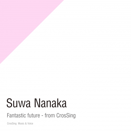 Fantastic future - from CrosSing
